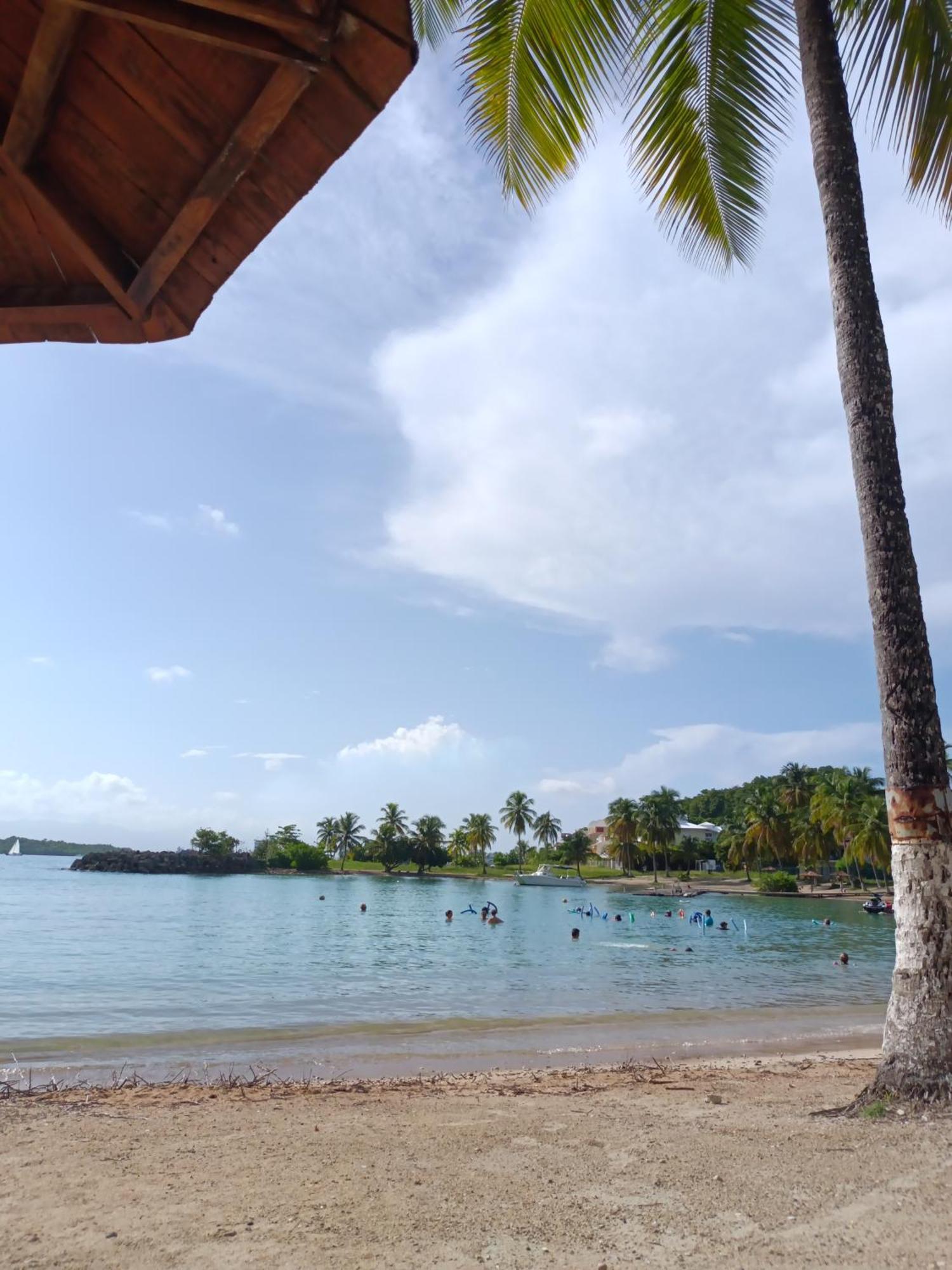 Appartement Un Dans Calme Avec Piscine Le Gosier (Grande-Terre)